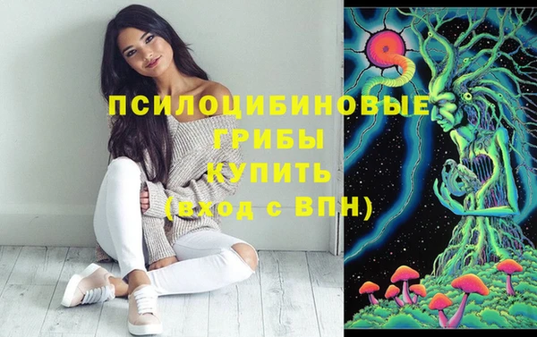 дживик Баксан